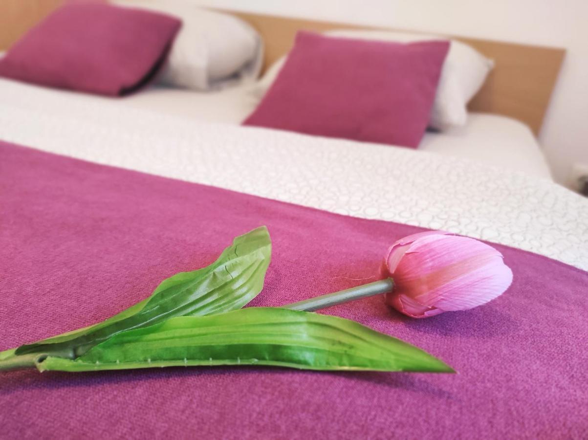 Apartment Katica Μόσταρ Εξωτερικό φωτογραφία