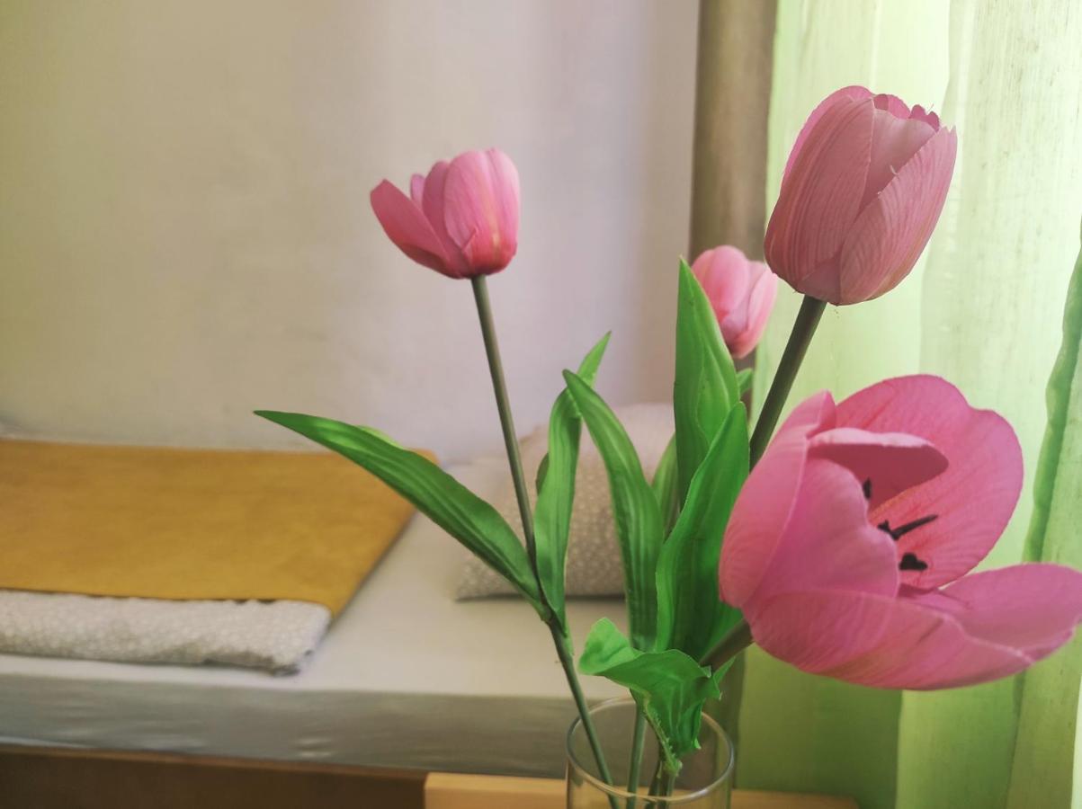 Apartment Katica Μόσταρ Εξωτερικό φωτογραφία